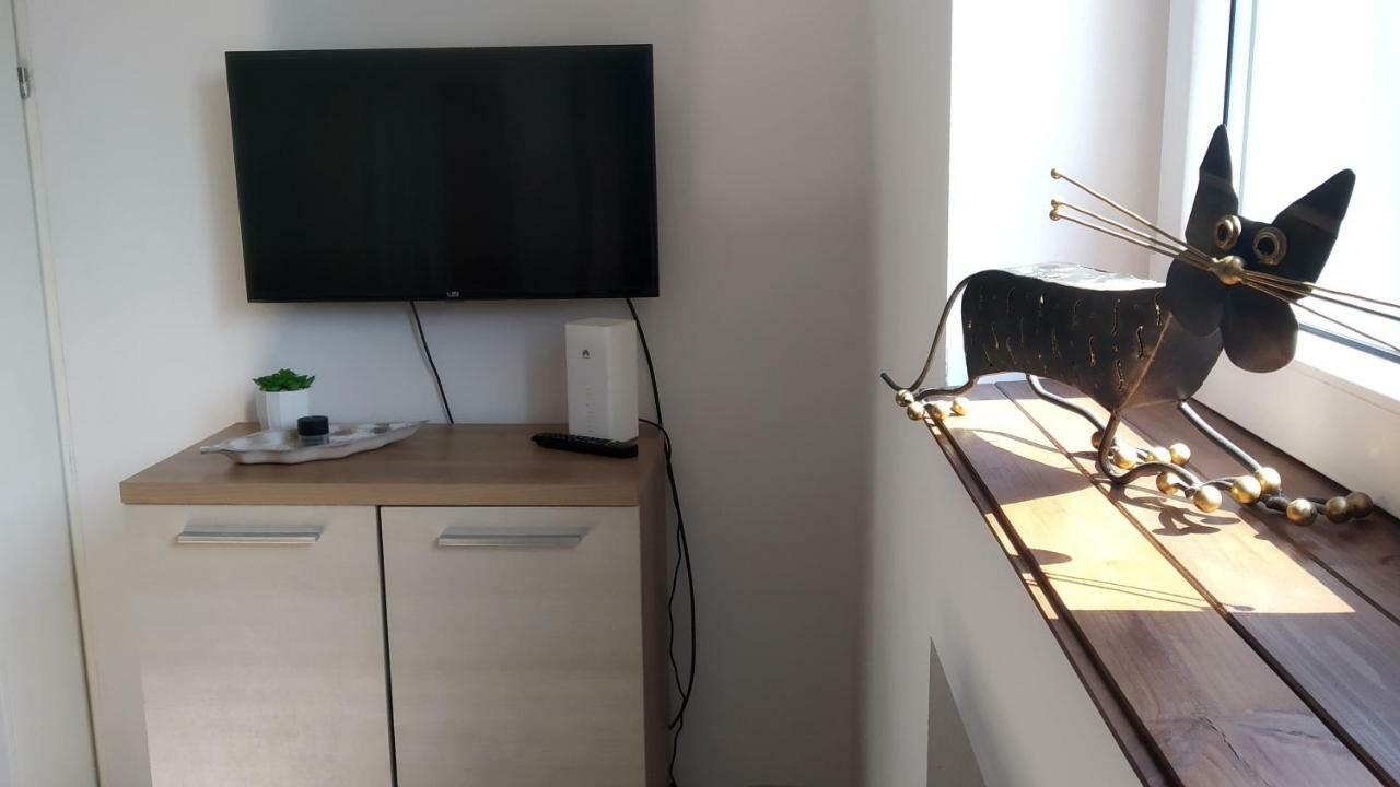 Studio Red Kot Zielona Góra Extérieur photo