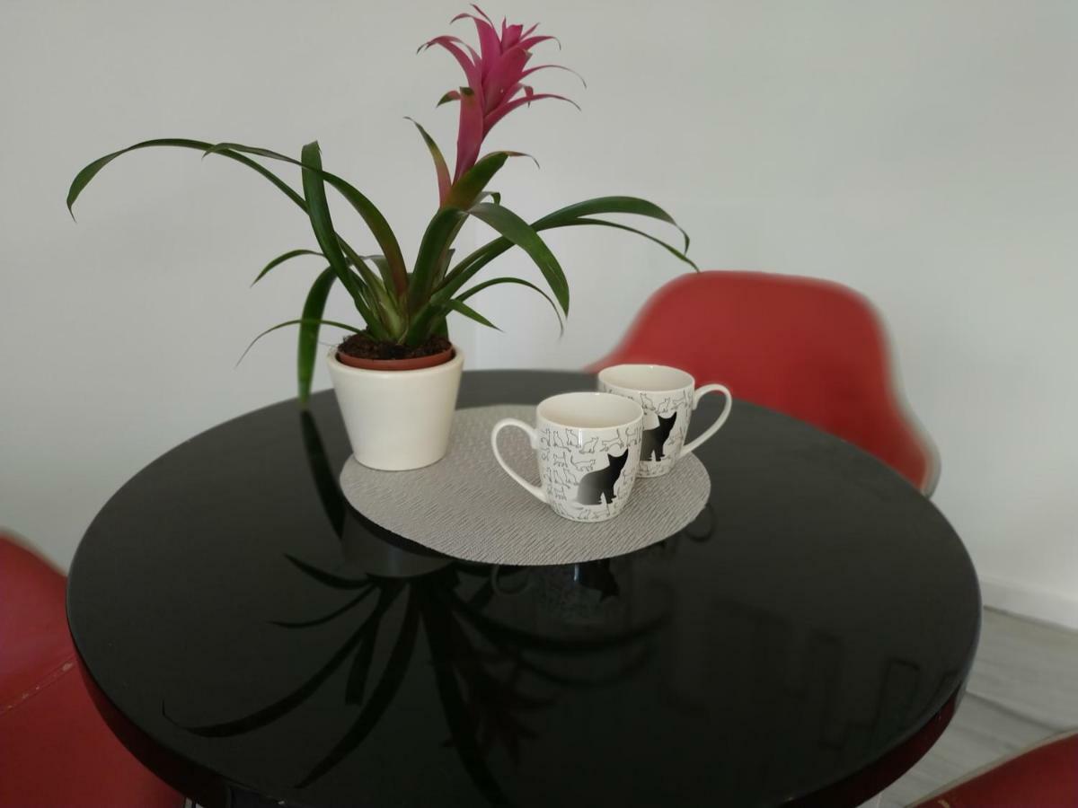 Studio Red Kot Zielona Góra Extérieur photo